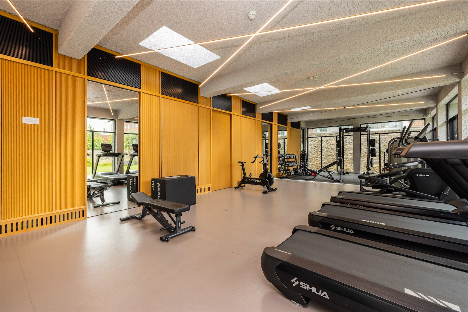Gym, Fernbank House